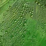 Green Condensation_DSCF01043